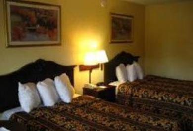 Near Busch Gardens Motel 2*
